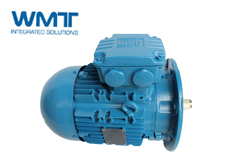 高壓電機容易出現(xiàn)的問題有哪些