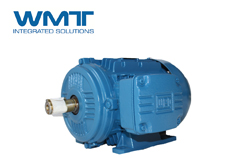 WEG變頻電機(jī)與普通電機(jī)有哪些區(qū)別