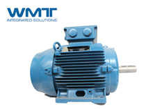 WEG防爆電機系列及主要特點有哪些